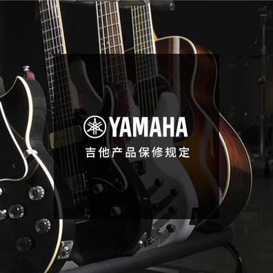 吉他、贝斯和音箱