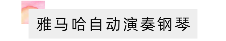 活动报道 | “科技助力，跨越时空”，小鹿纯子携手刘明康共享中日音乐盛宴